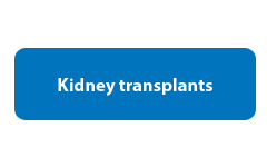 Kidney transplant video
