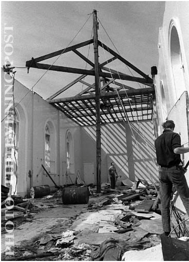 kauri trusses removed ward 2