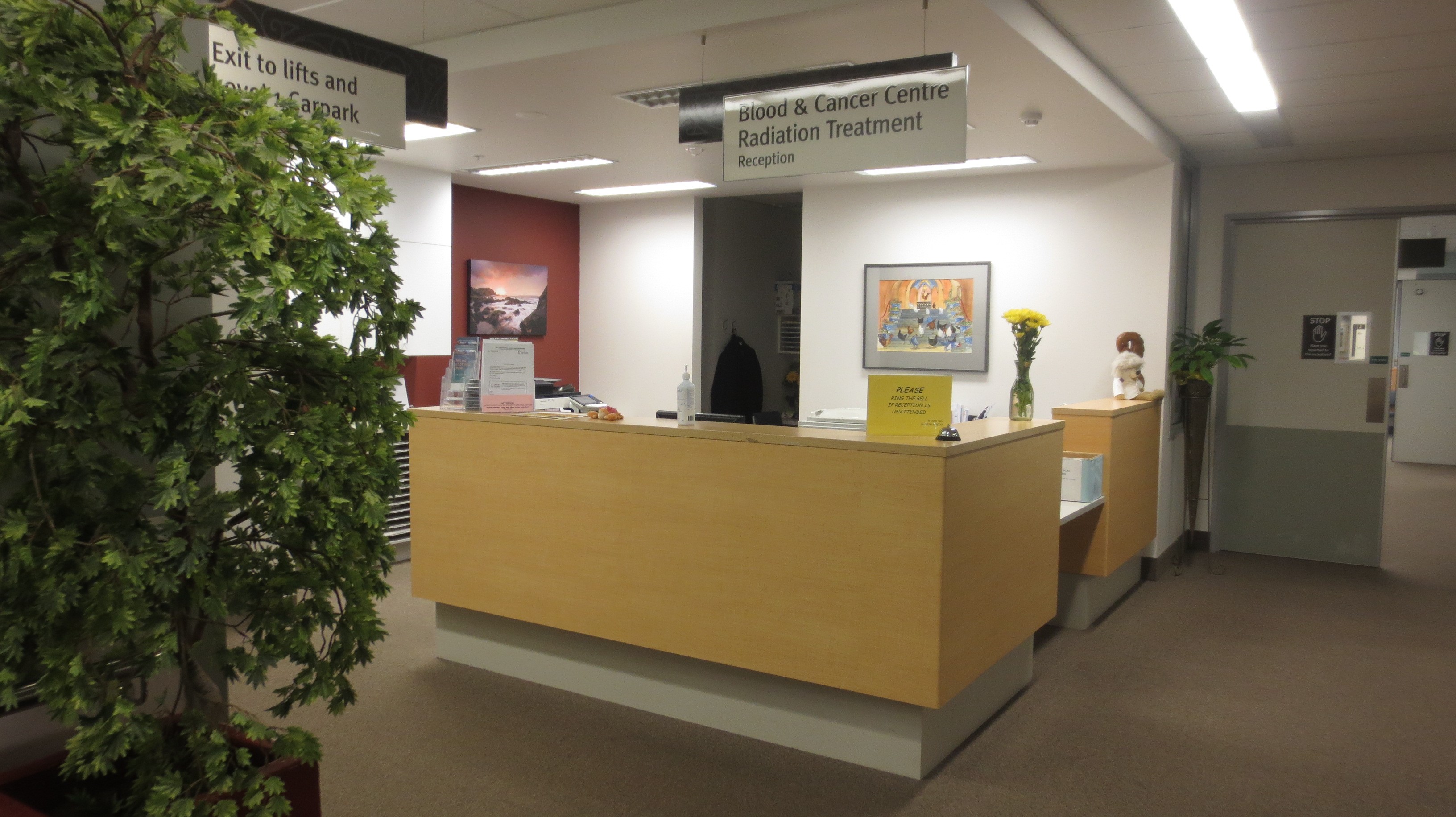 Wellington Blood and Cancer Centre reception