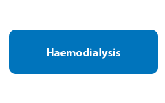 haemodialysis