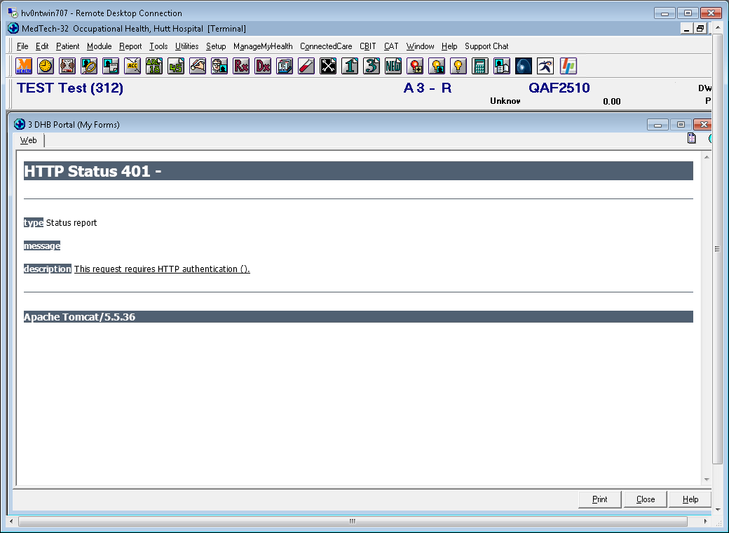 Screenshot showing http status 401